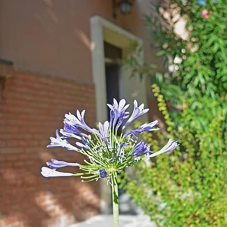 Bondi900 - Tigli Apartment Bologna Exterior photo